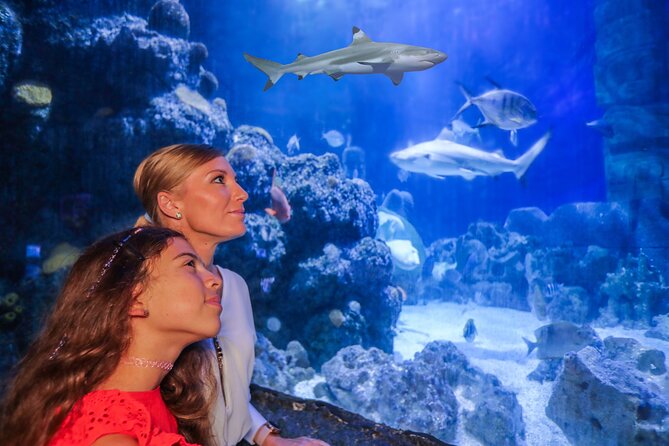 SEA LIFE Munich Admission Ticket - Finding SEA LIFE Munich in Olympic Park