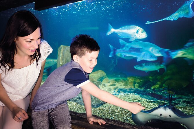 SEA LIFE Munich Admission Ticket - What children get from the visit