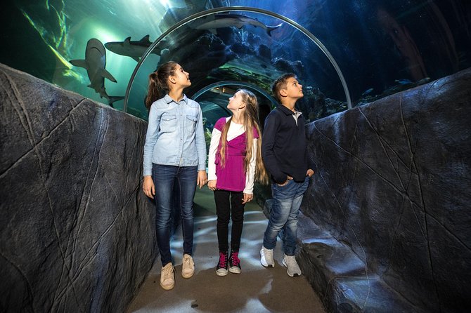 SEA LIFE Munich Admission Ticket - Is $28.91 a fair price?