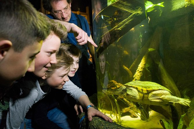 SEA LIFE Munich Admission Ticket - The shark collection is the main reason to visit