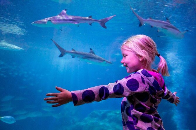 SEA LIFE Oberhausen Admission Ticket - What You See Inside SEA LIFE Oberhausen