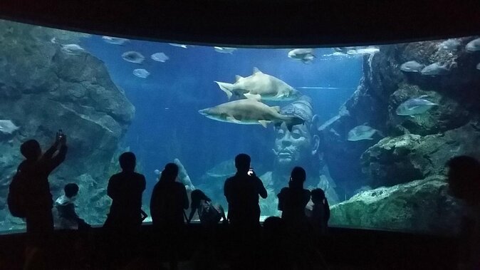 SEA LIFE Ocean World at Bangkok Admission Ticket - Deep Reef and Rain Forest begin the route