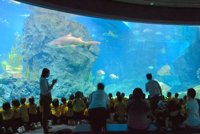 SEA LIFE Ocean World at Bangkok Admission Ticket - Open Ocean brings the biggest visual moment