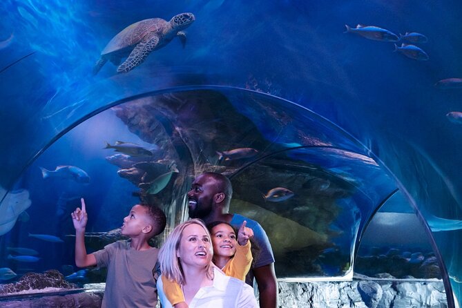 SEA LIFE Orlando Aquarium Admission Ticket at ICON Park - Touch pools, demonstrations, and conservation