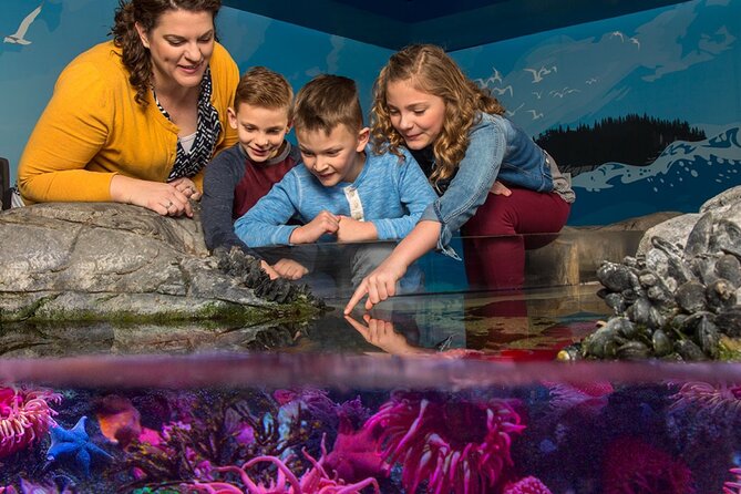 SEA LIFE Orlando Aquarium Admission Ticket at ICON Park - From Lake Apopka to the Gulf of Mexico