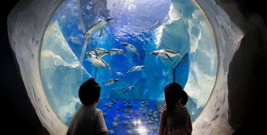 SEA LIFE Paris: Admission Ticket - The rock pool turns watching into doing