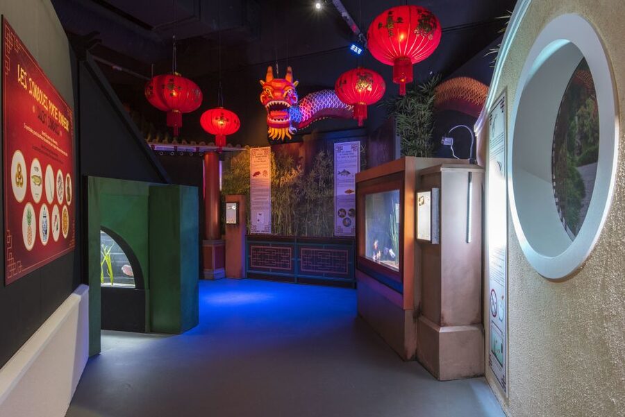 SEA LIFE Paris: Admission Ticket - Digital play keeps the visit moving