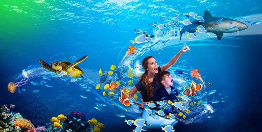 SEA LIFE Paris: Admission Ticket - Daily talks and feeding sessions are worth checking