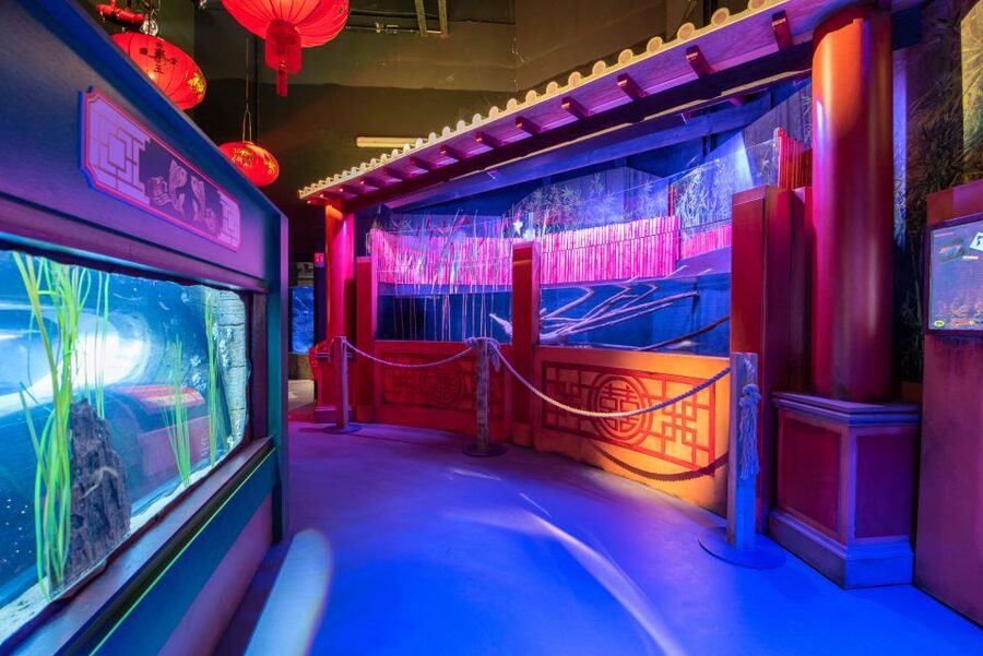 SEA LIFE Paris: Admission Ticket - Is $28 good value for one day?