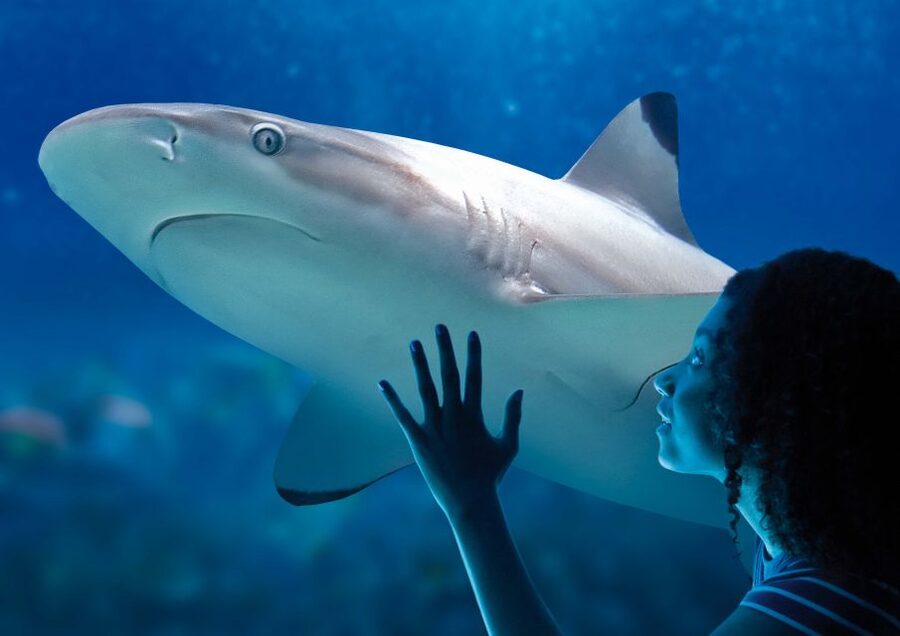 SEA LIFE Paris: Admission Ticket - Who will enjoy SEA LIFE Paris most?