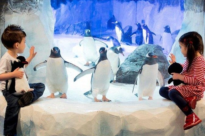 SEA LIFE Paris Val d'Europe Aquarium Entry Ticket - Planning around feeding times