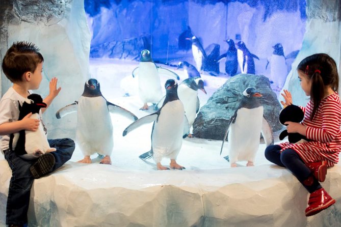 SEA LIFE Paris Val d'Europe Aquarium Entry Ticket - What the $28.76 ticket buys you