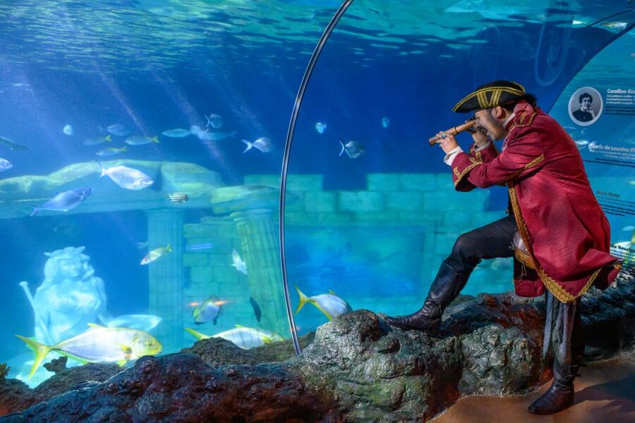 SEA LIFE Porto Full-Day Entrance Ticket - Make time for Penguin Island