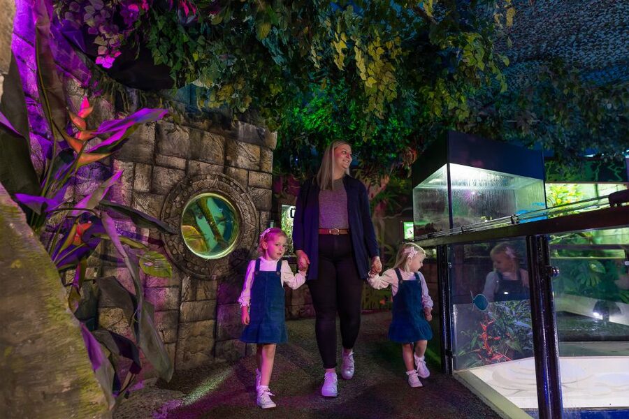 Sea Life Scarborough - Is $26 good value for one day?