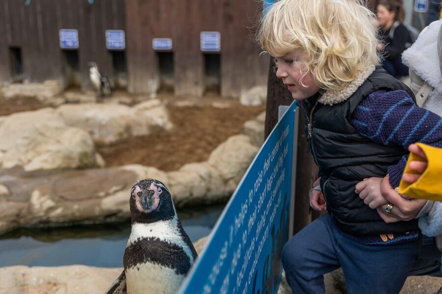 Sea Life Scarborough - Starting at North Bay in Scarborough