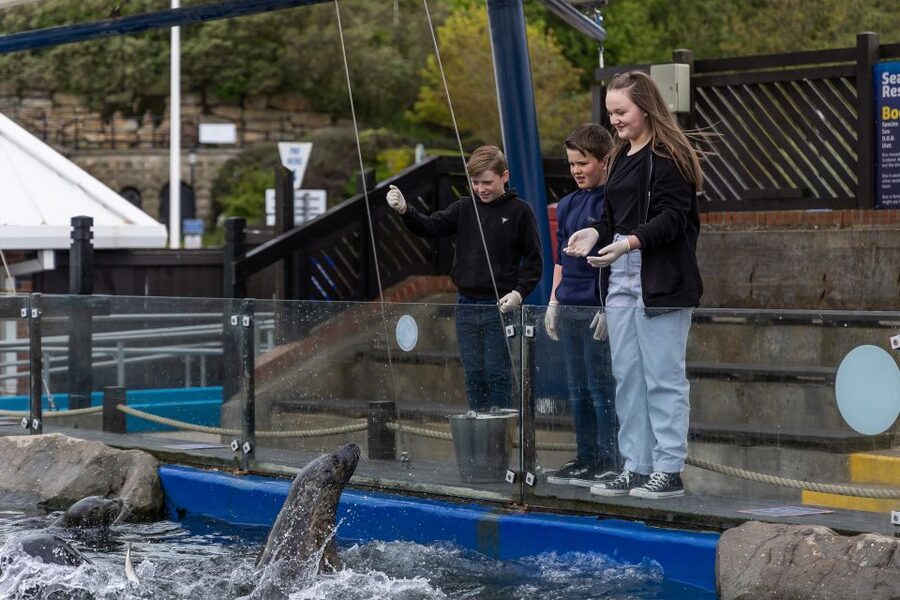 Sea Life Scarborough - The rockpool is the most hands-on section