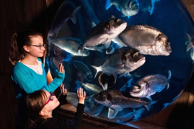SEA LIFE Speyer Admission Ticket - The tropical reef is the visual high point