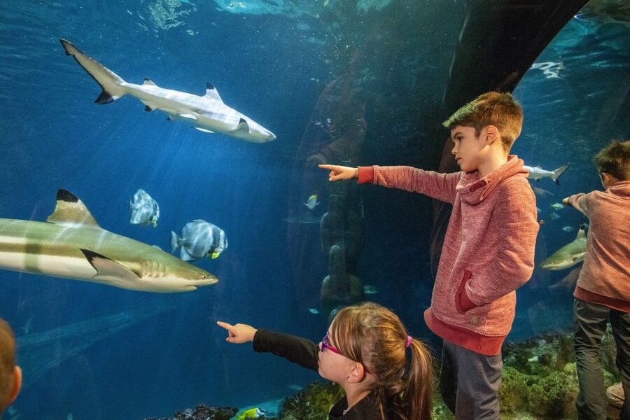 Sea Life Speyer Ticket - From Lake Constance to the North Sea