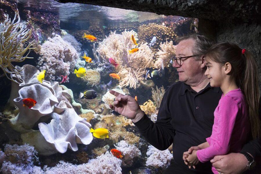 Sea Life Speyer Ticket - The Amazon area adds variety