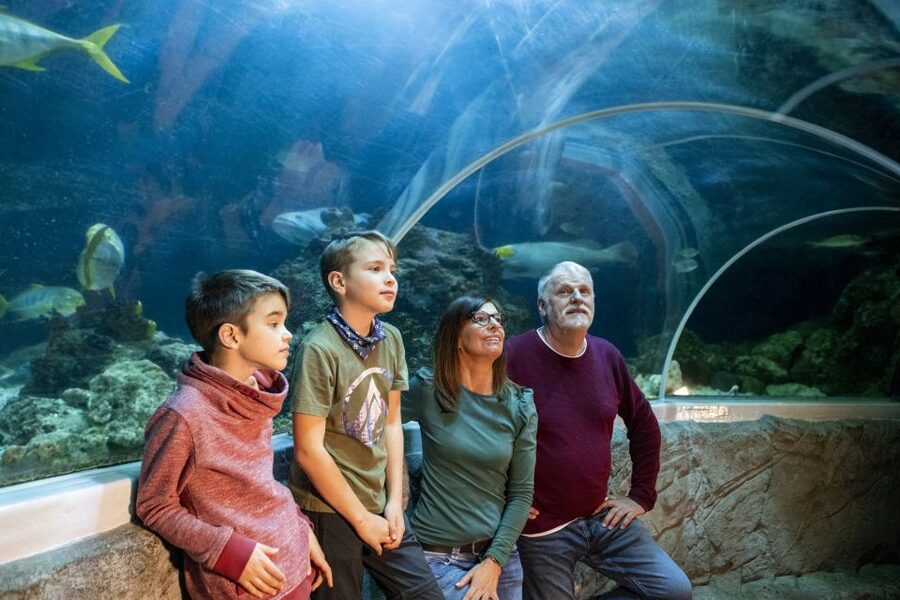 Sea Life Speyer Ticket - European pond turtles and conservation