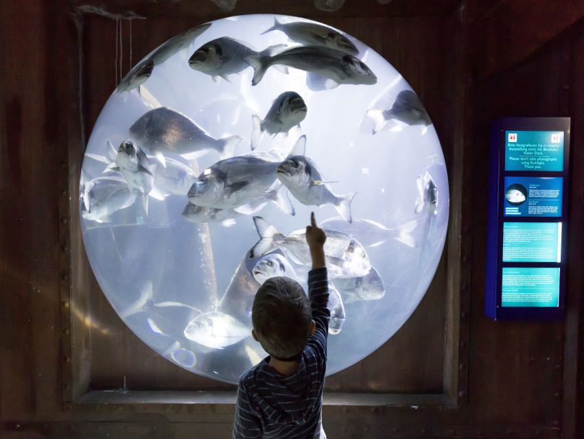 Sea Life Speyer Ticket - How long the visit really feels