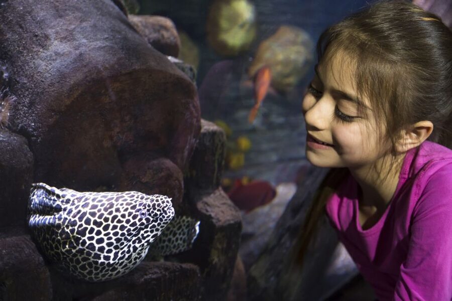 Sea Life Speyer Ticket - Is the $22 ticket good value?