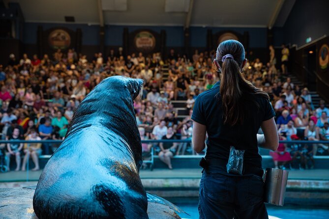 SEA LIFE Sunshine Coast Aquarium Entrance Ticket - Key points before you go