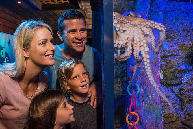 SEA LIFE Sunshine Coast Aquarium Entrance Ticket - Shark Shipwreck and the 80-metre ocean tunnel