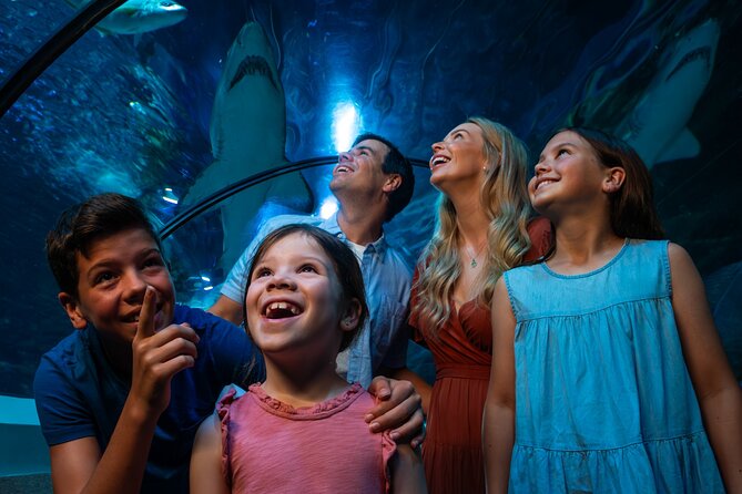 SEA LIFE Sunshine Coast Aquarium Entrance Ticket - Weird and Wonderful: stonefish and lionfish