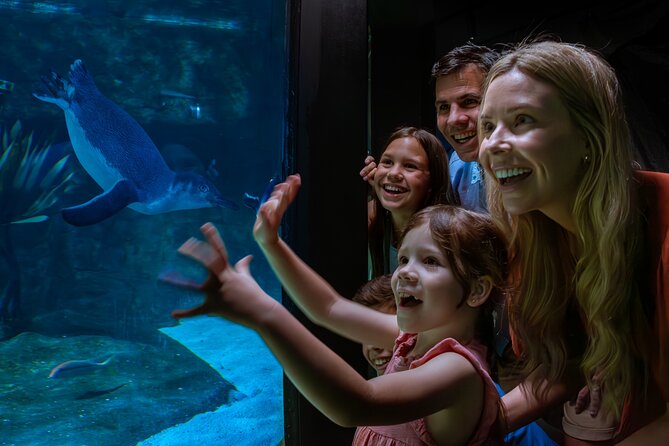 SEA LIFE Sunshine Coast Aquarium Entrance Ticket - What the $27.54 ticket includes