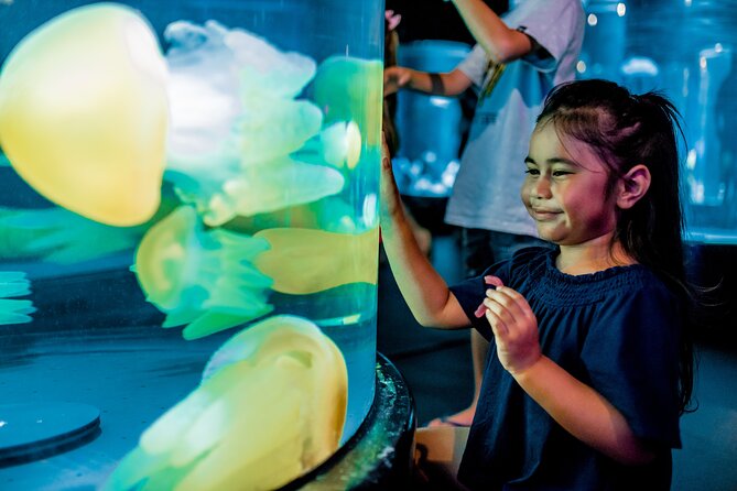 SEA LIFE Sydney Aquarium Entrance Ticket - Sydney Harbour brings local waters indoors