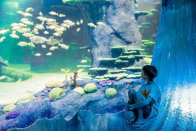 SEA LIFE Sydney Aquarium Entrance Ticket - How long should you plan?