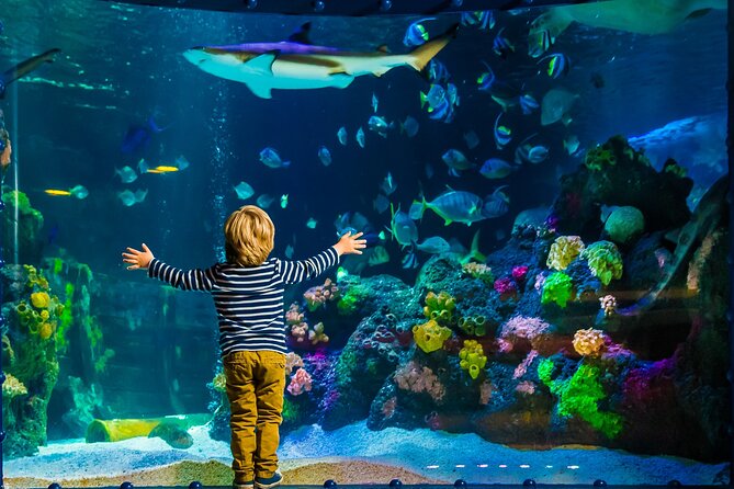 SEA LIFE Timmendorfer Strand Admission Ticket - The rainforest section adds otters, piranhas, and snakes