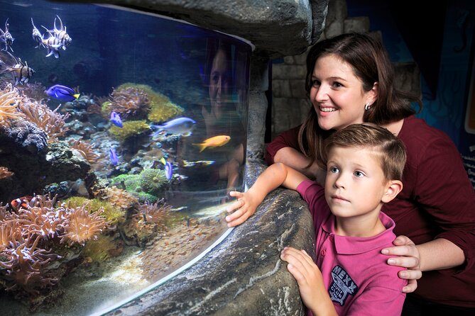SEA LIFE Timmendorfer Strand Admission Ticket - How much value do you get for $20.43?