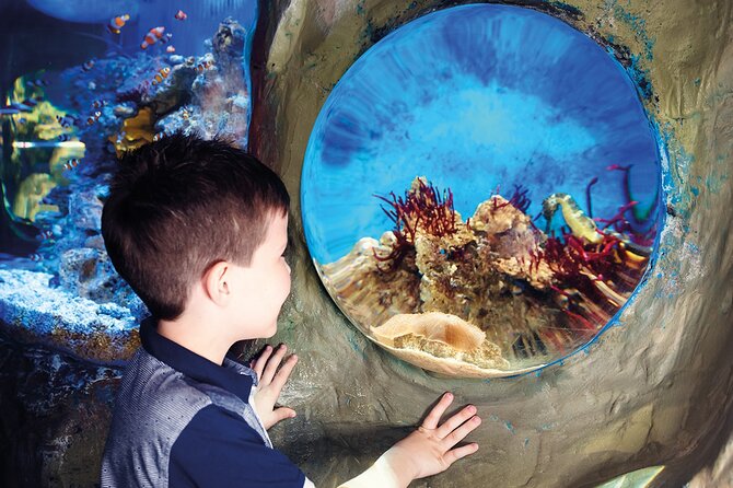 SEA LIFE Timmendorfer Strand Admission Ticket - What makes the visit memorable