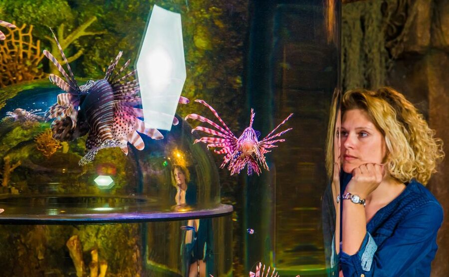 SEA LIFE Timmendorfer Strand Ticket - Conservation is part of the message