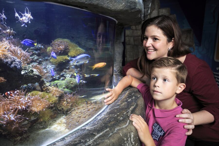 SEA LIFE Timmendorfer Strand Ticket - What the $20 ticket is really worth