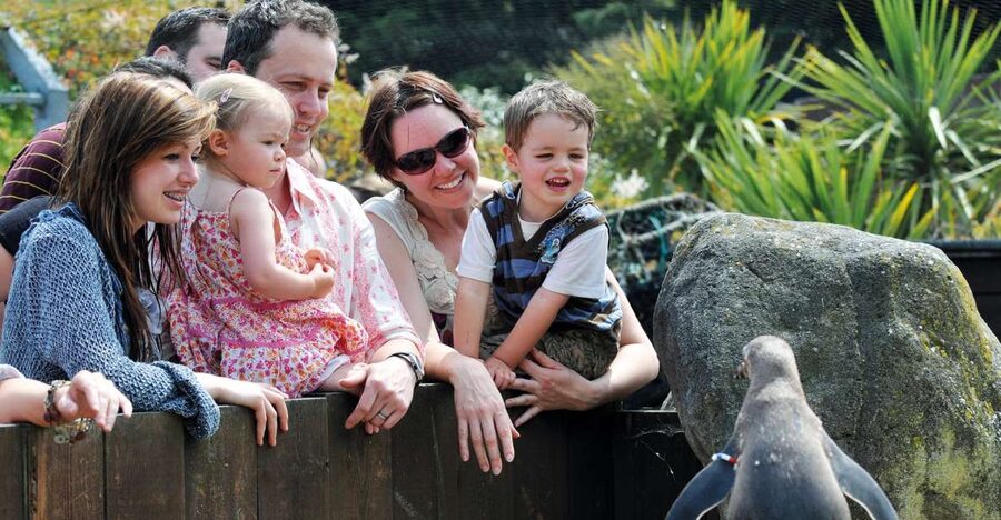 Sea Life Weymouth Admission Ticket - Timing, family rules, and practical planning