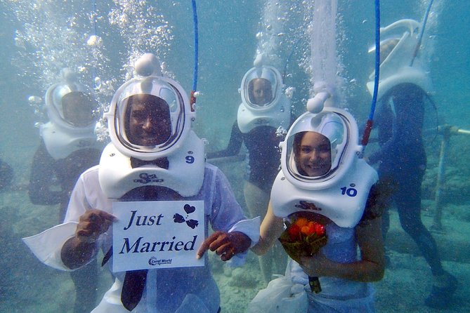 Sea Trek Helmet Dive at Coral World Ocean Park - Why the guides matter so much