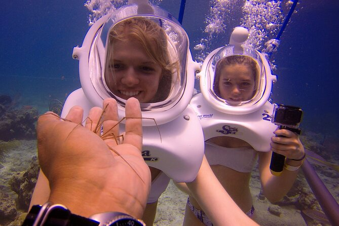 Sea Trek Helmet Dive at Coral World Ocean Park - What happens after you come back up