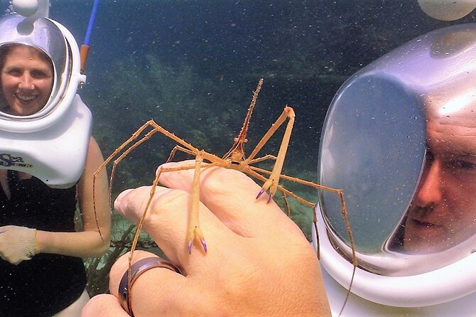 Sea Trek Helmet Dive at Coral World Ocean Park - Who should book this St. Thomas activity