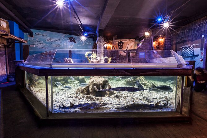 Sealife Benalmadena Entrance Ticket - Why the rock pool works well for children
