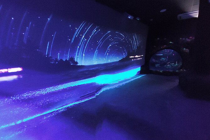 Sealife Benalmadena Entrance Ticket - Who will enjoy this aquarium most