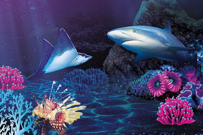 Sealife Benalmadena Entrance Ticket - Practical ways to get more from the visit
