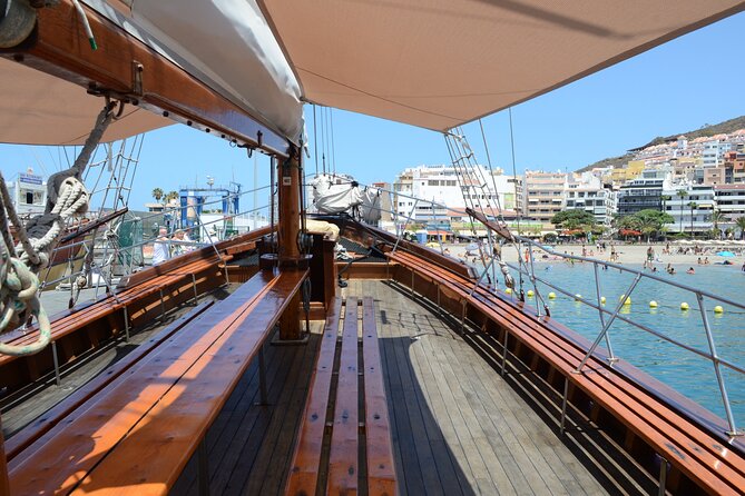 Sealife Dolphin & Whale Watching aboard Portuguese schooner - Key points to know before you book