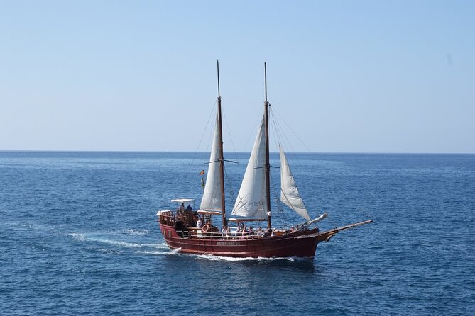 Sealife Dolphin & Whale Watching aboard Portuguese schooner - A schooner, not just another whale boat