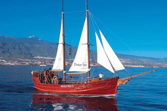 Sealife Dolphin & Whale Watching aboard Portuguese schooner - What the two-hour schedule really means