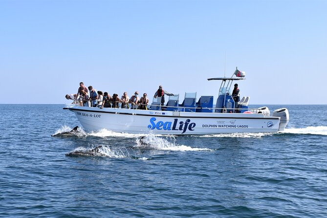Sealife Sea Safari, Dolphin Watching with Marine Biologist's Lagos - Setting Out from Lagos Marina