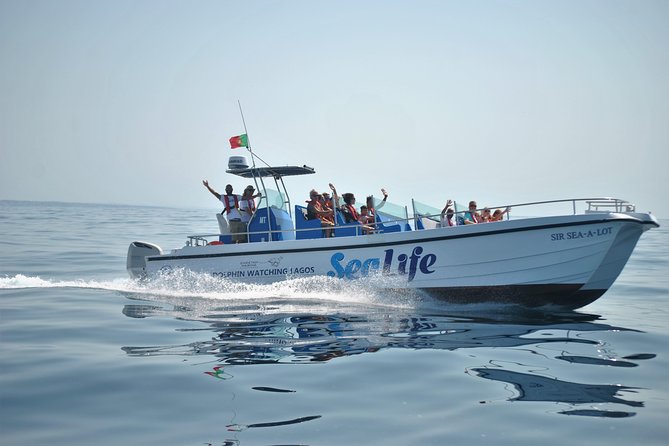 Sealife Sea Safari, Dolphin Watching with Marine Biologist's Lagos - Searching the Atlantic for Dolphins