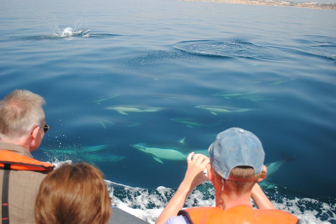 Sealife Sea Safari, Dolphin Watching with Marine Biologist's Lagos - Booking and Cancellation Details